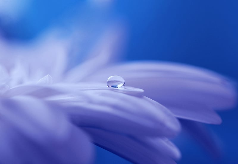 Whimsical Vision Image